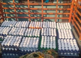 WhatsApp Image 2025-12-27 at 1.13.27 PM (1)