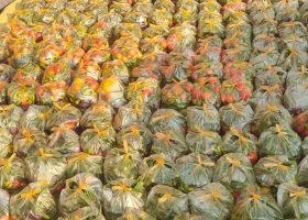 WhatsApp Image 2025-12-27 at 1.13.27 PM (21)