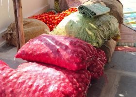 WhatsApp Image 2025-12-27 at 1.13.27 PM (27)