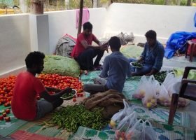 WhatsApp Image 2025-12-27 at 1.13.27 PM (28)