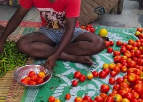 WhatsApp Image 2025-12-27 at 1.13.27 PM (30)