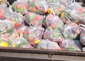 WhatsApp Image 2025-12-27 at 1.13.27 PM (35)